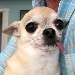 Meet your Posher, Sean